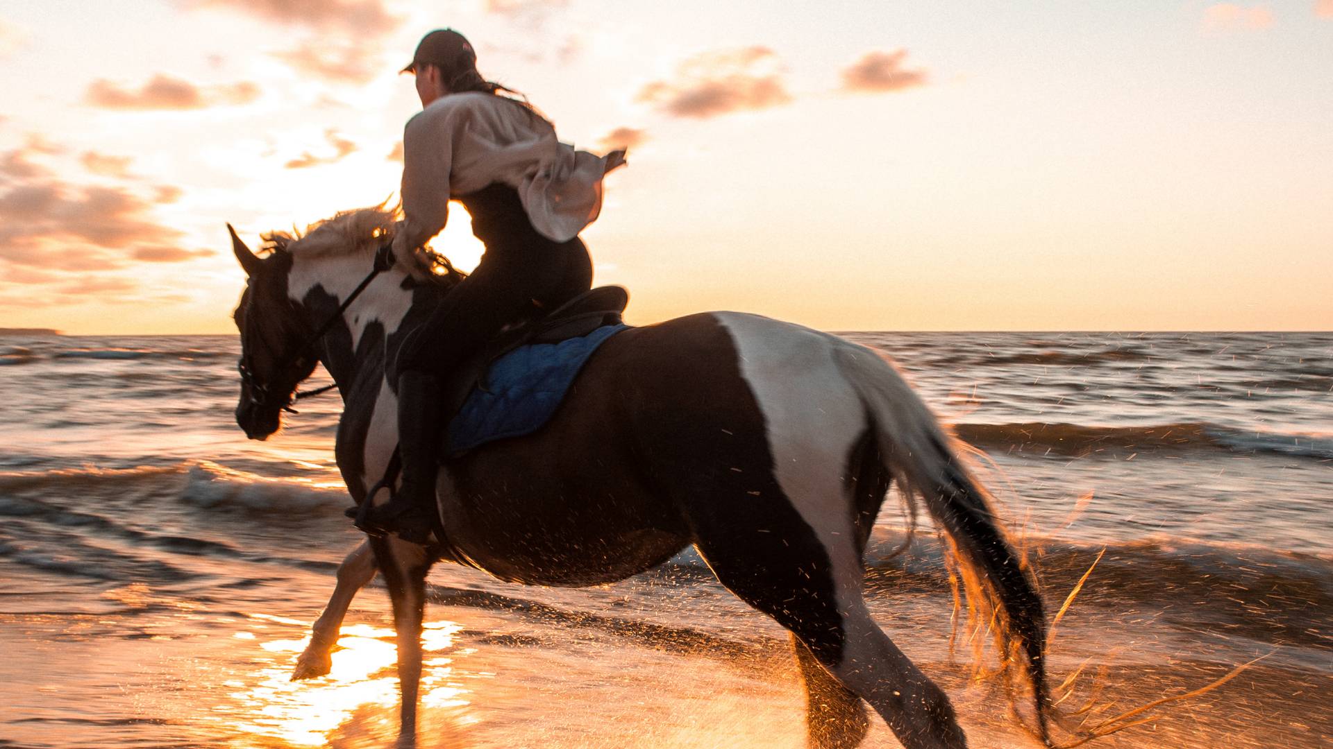 Horse ridding in the beach